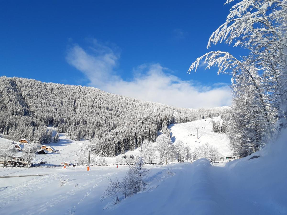Chalet Verdino Bad Kleinkirchheim Exterior photo