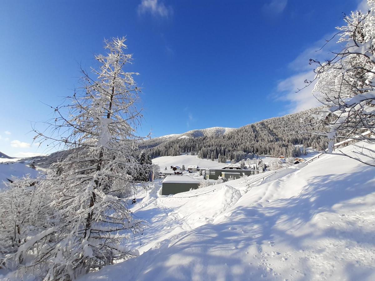Chalet Verdino Bad Kleinkirchheim Exterior photo