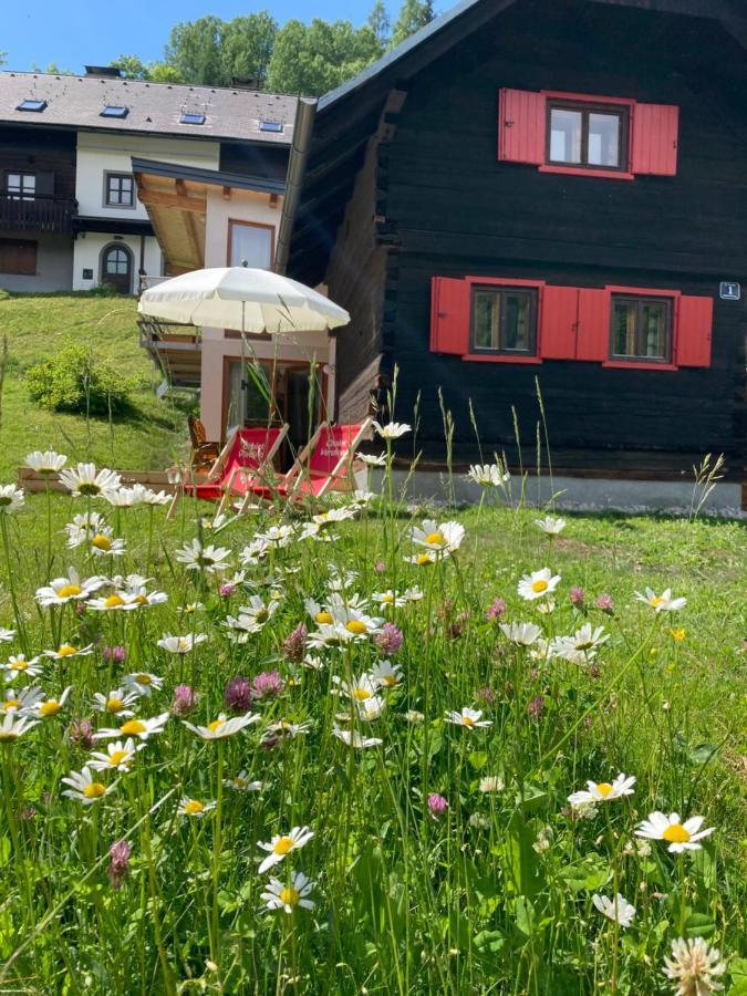Chalet Verdino Bad Kleinkirchheim Exterior photo